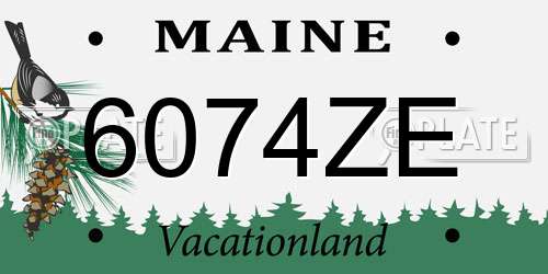 6074ZE Maine License Plate