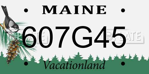 607G45 Maine License Plate