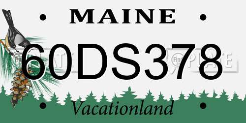 60DS378 Maine License Plate