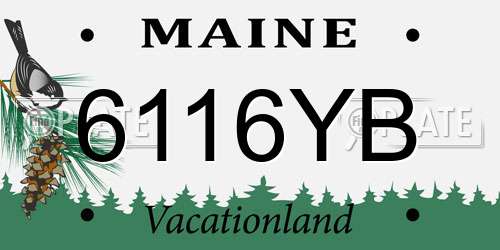 6116YB Maine License Plate