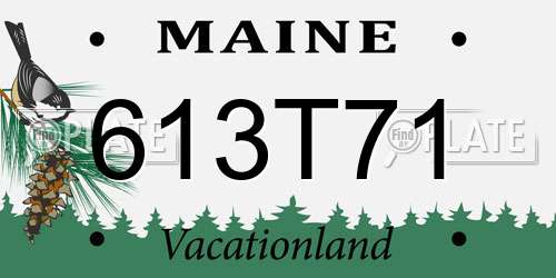 613T71 Maine License Plate