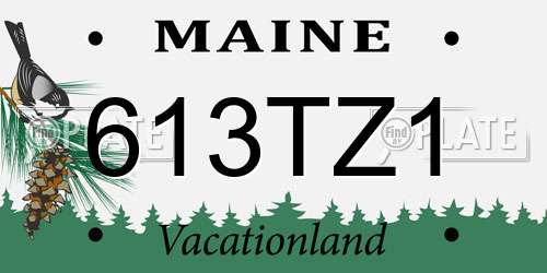 613TZ1 Maine License Plate