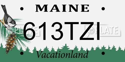 613TZI Maine License Plate