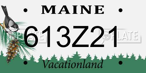 613Z21 Maine License Plate