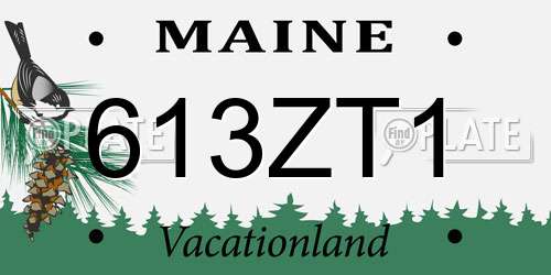 613ZT1 Maine License Plate
