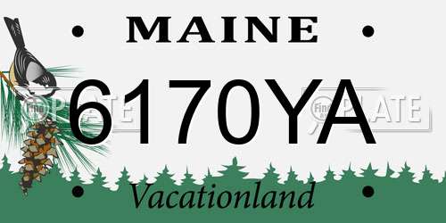 6170YA Maine License Plate