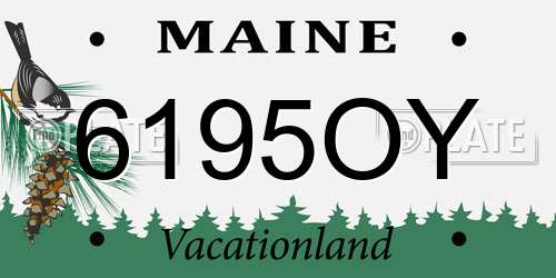 6195OY Maine License Plate