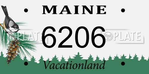 6206 Maine License Plate