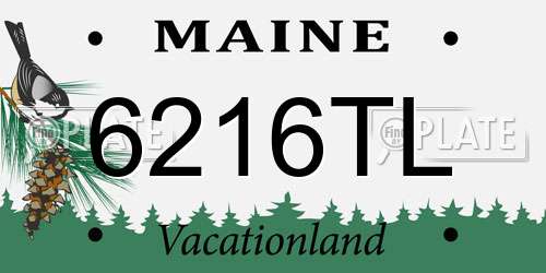 6216TL Maine License Plate