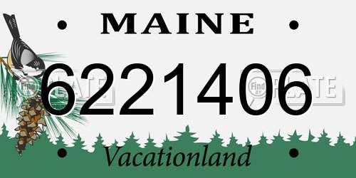 6221406 Maine License Plate
