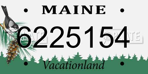 6225154 Maine License Plate