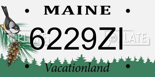 6229ZI Maine License Plate