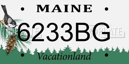 6233BG Maine License Plate