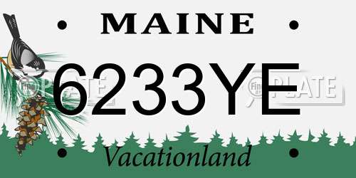 6233YE Maine License Plate