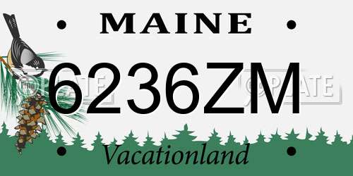 6236ZM Maine License Plate
