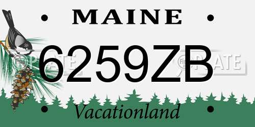 6259ZB Maine License Plate
