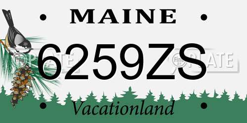 6259ZS Maine License Plate