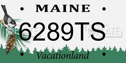 6289TS Maine License Plate