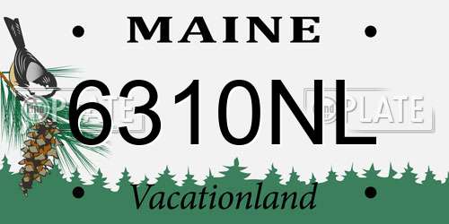 6310NL Maine License Plate