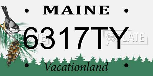 6317TY Maine License Plate