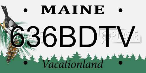 636BDTV Maine License Plate