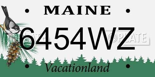 6454WZ Maine License Plate