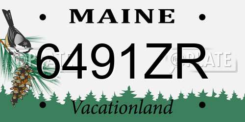6491ZR Maine License Plate