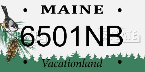6501NB Maine License Plate