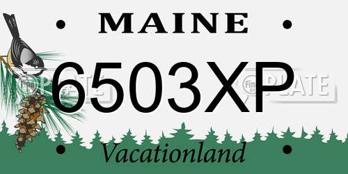 6503XP Maine License Plate
