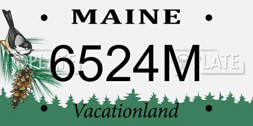 6524M Maine License Plate