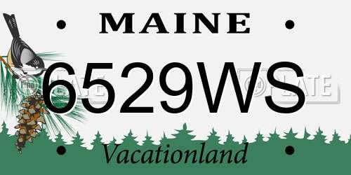 6529WS Maine License Plate