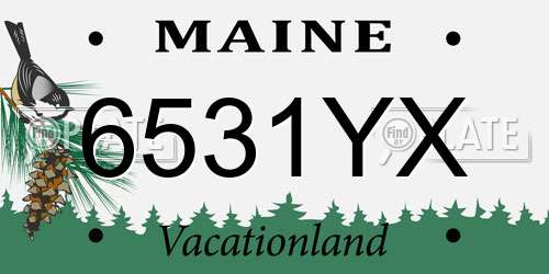 6531YX Maine License Plate