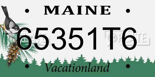 65351T6 Maine License Plate