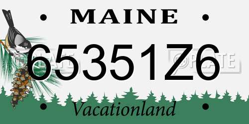 65351Z6 Maine License Plate