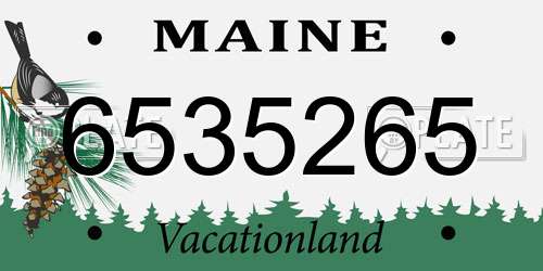 6535265 Maine License Plate