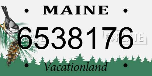 6538176 Maine License Plate