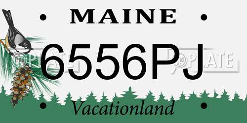 6556PJ Maine License Plate