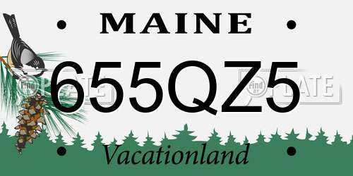 655QZ5 Maine License Plate