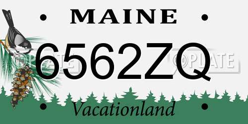 6562ZQ Maine License Plate