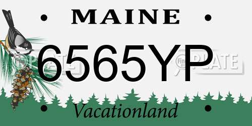6565YP Maine License Plate