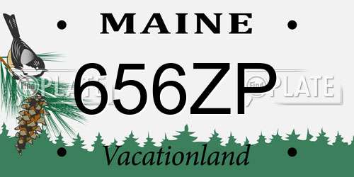 656ZP Maine License Plate