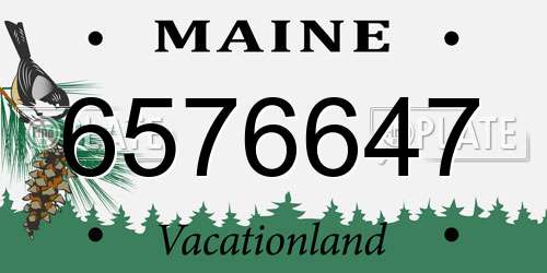6576647 Maine License Plate