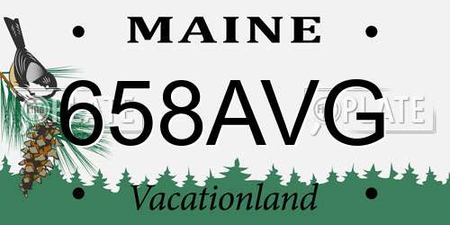658AVG Maine License Plate
