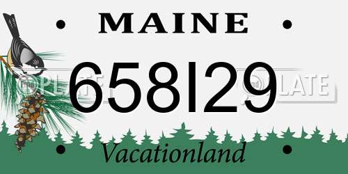 658I29 Maine License Plate