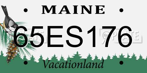 65ES176 Maine License Plate