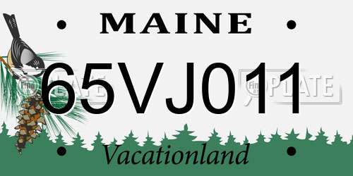 65VJ011 Maine License Plate