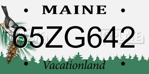 65ZG642 Maine License Plate