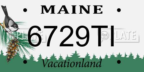 6729TI Maine License Plate