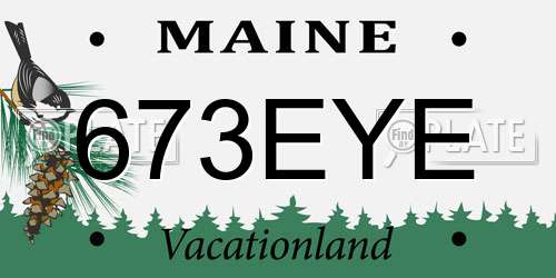 673EYE Maine License Plate