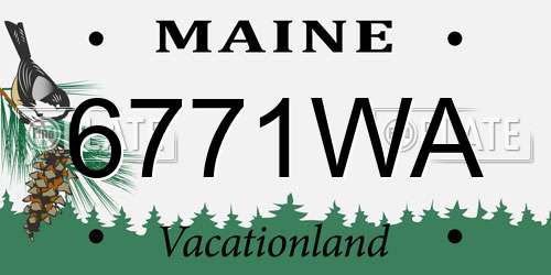 6771WA Maine License Plate